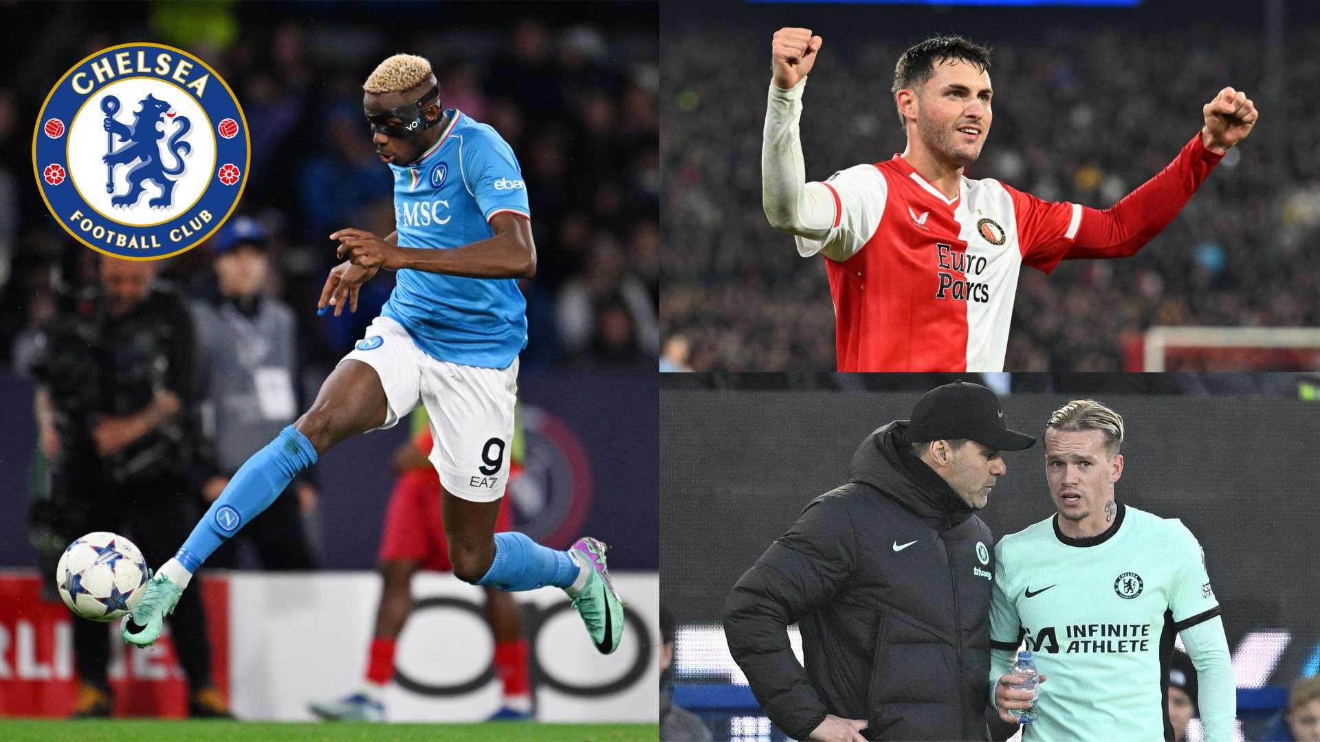 职业生涯的 职业生涯的